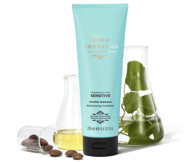 Screenshot 2024 10 17 at 12 46 14 PM